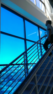 Commercial Window Tinting Applications